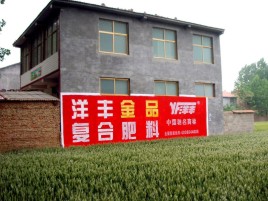 大田如何让墙体广告展现最大化效果