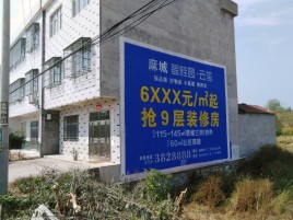 大田墙体广告质量分析