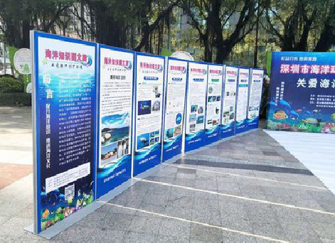 大田KT板的种类和知识。